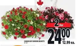 Metro CANADA DAY HANGING BASKETS 10 POT offer