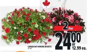 Metro CANADA DAY HANGING BASKETS 10 POT offer