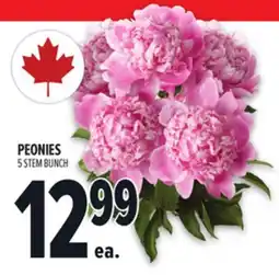 Metro PEONIES offer