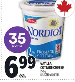 Metro GAY LEA COTTAGE CHEESE offer