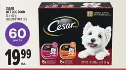Metro CESAR WET DOG FOOD offer