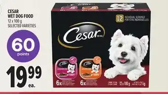 Metro CESAR WET DOG FOOD offer