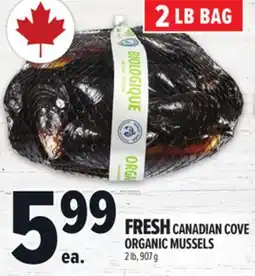 Metro FRESH CANADIAN COVE ORGANIC MUSSELS offer