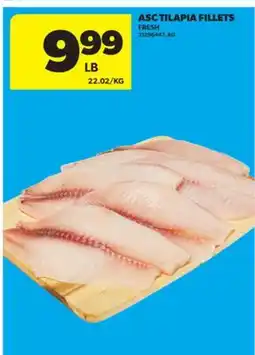Real Canadian Superstore ASC TILAPIA FILLETS offer