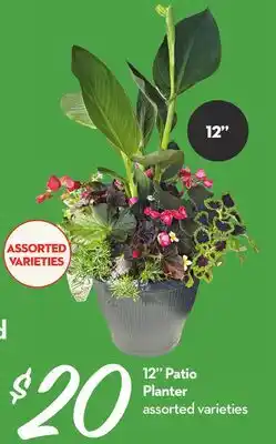 Longo's 12 Patio Planter offer