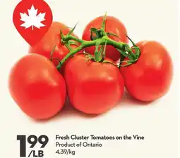 Longo's Fresh Cluster Tomatoes on the Vine offer