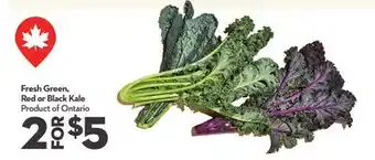 Longo's Fresh Green, Red or Black Kale offer