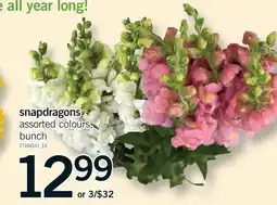 Fortinos SNAPDRAGONS offer