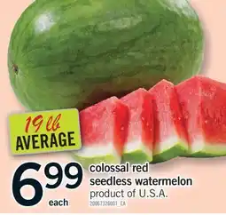 Fortinos COLOSSAL RED SEEDLESS WATERMELON, 19 LB AVERAGE offer