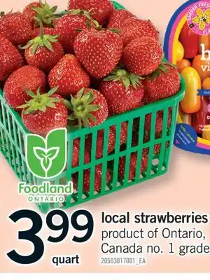 Fortinos LOCAL STRAWBERRIES offer