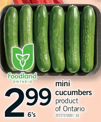 Fortinos MINI CUCUMBERS, 6's offer