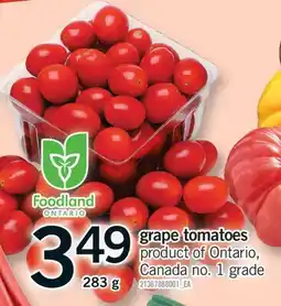 Fortinos GRAPE TOMATOES, 283 G offer