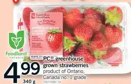 Fortinos PC GREENHOUSE GROWN STRAWBERRIES, 340 G offer