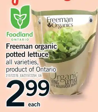Fortinos FREEMAN ORGANIC POTTED LETTUCE offer
