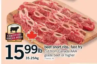 Fortinos BEEF SHORT RIBS FAST FRY RIBS offer