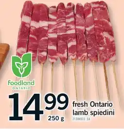 Fortinos FRESH ONTARIO LAMB SPIEDINI, 250 G offer