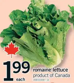 Fortinos ROMAINE LETTUCE offer