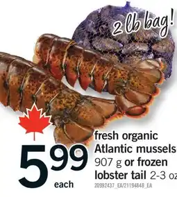 Fortinos FRESH ORGANIC ATLANTIC MUSSELS 907 G OR FROZEN LOBSTER TAIL 2-3 OZ offer