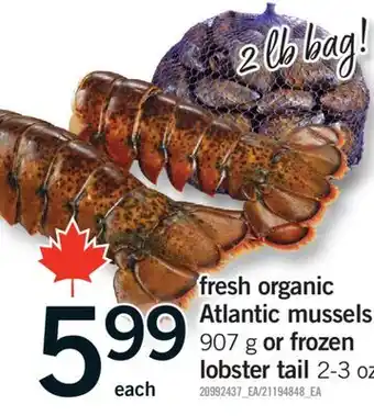 Fortinos FRESH ORGANIC ATLANTIC MUSSELS 907 G OR FROZEN LOBSTER TAIL 2-3 OZ offer