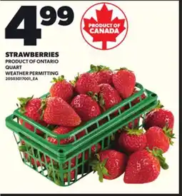 Loblaws STRAWBERRIES offer