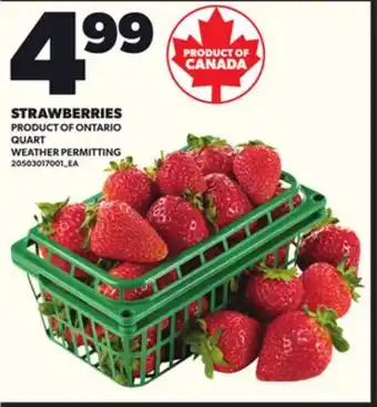 Loblaws STRAWBERRIES offer