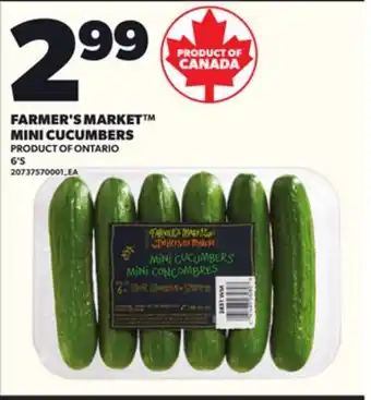 Loblaws FARMER'S MARKET MINI CUCUMBERS, 6'S offer
