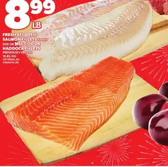 Loblaws FRESH ATLANTIC SALMON FILLETS FAMILY SIZE OR MSC COD OR HADDOCK FILLETS offer