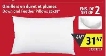 Sushi Shop Down and Feather Pillows 20x28 offer