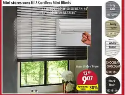 Sushi Shop Cordless Mini Blinds offer