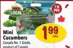 Farm Boy Mini Cucumbers offer