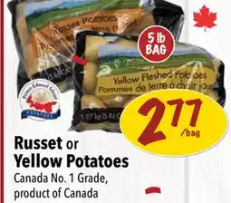 Farm Boy Russet or Yellow Potatoes offer