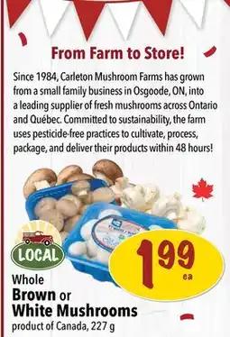 Farm Boy Whole Brown or White Mushrooms offer