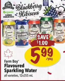 Farm Boy Farm Boy Flavoured Sparkling Water offer