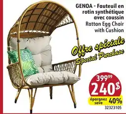 Sushi Shop Rattan Egg Chair with Cushion offer