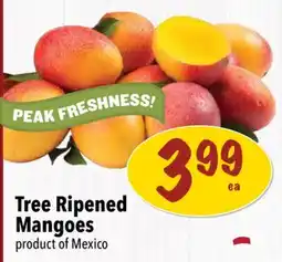 Farm Boy Tree Ripened Mangoes offer