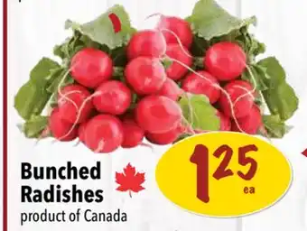Farm Boy Bunched Radishes offer