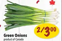 Farm Boy Green Onions offer