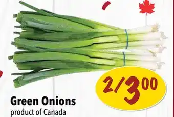 Farm Boy Green Onions offer