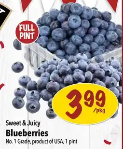 Farm Boy Sweet & Juicy Blueberries offer