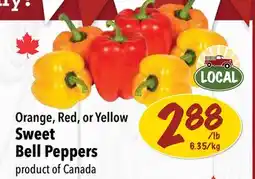 Farm Boy Orange, Red, or Yellow Sweet Bell Peppers offer