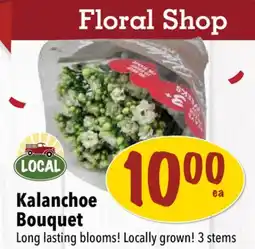 Farm Boy Kalanchoe Bouquet offer