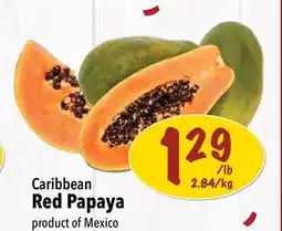 Farm Boy Caribbean Red Papaya offer