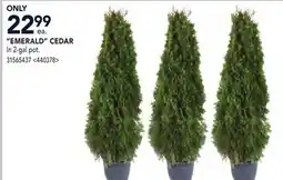 RONA EMERALD CEDAR offer