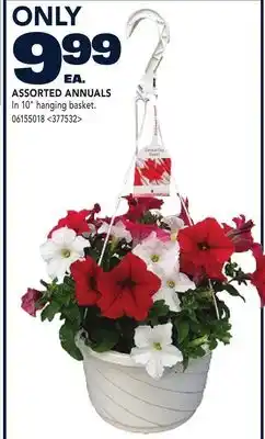 RONA ASSORTED ANNUALS offer