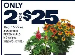 RONA ASSORTED PERENNIALS offer