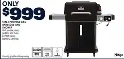 RONA NINJA 5-IN-1 PROPANE GAS BARBECUE AND SMOKER offer
