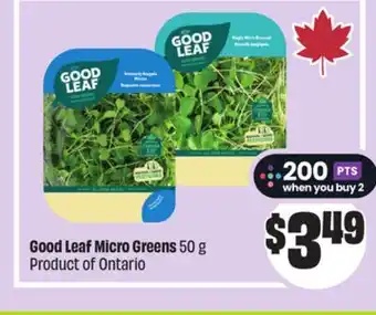 FreshCo Good Leaf Micro Greens 50 g Product of Ontario offer