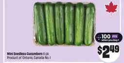 FreshCo Mini Seedless Cucumbers 6 pk Product of Ontario, Canada No. 1 offer