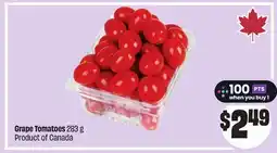 FreshCo Grape Tomatoes 283 g Product of Canada offer