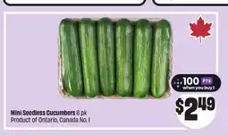 Chalo FreshCo Mini Seedless Cucumbers 6 pk Product of Ontario, Canada No. 1 offer